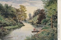 pc_oxfother_0243
