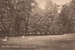 pc_magd_0066